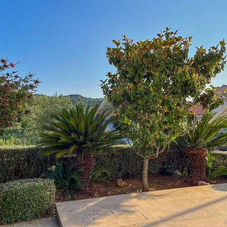 Botica شقة كورتْشولا